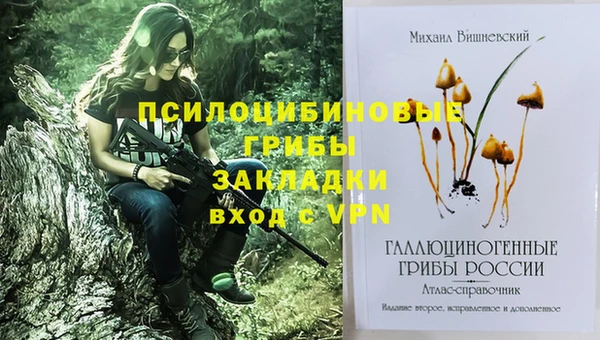 2c-b Богданович